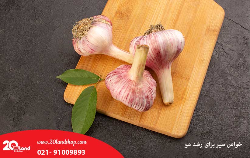 خواص سیر برای رشد مو